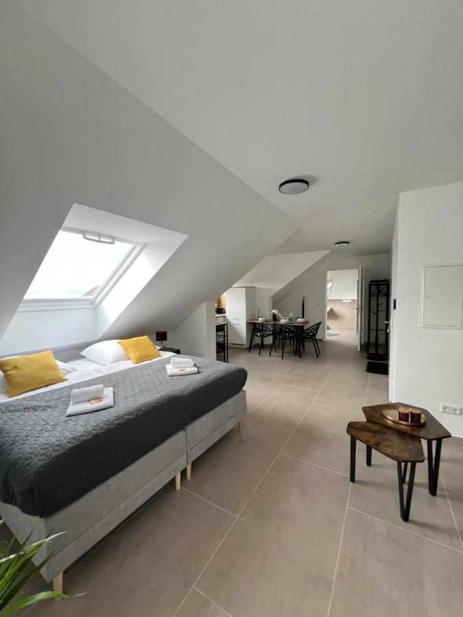 Bnb Open Apartments Pader-Stars 파더본 외부 사진
